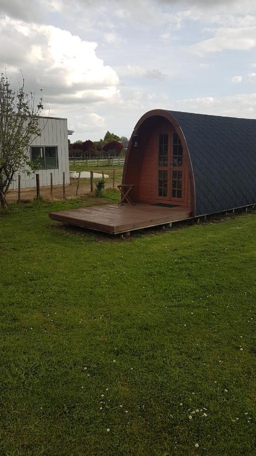 Aberdeen Cottage With Hobbit House Sleep-Out Tamahere 외부 사진