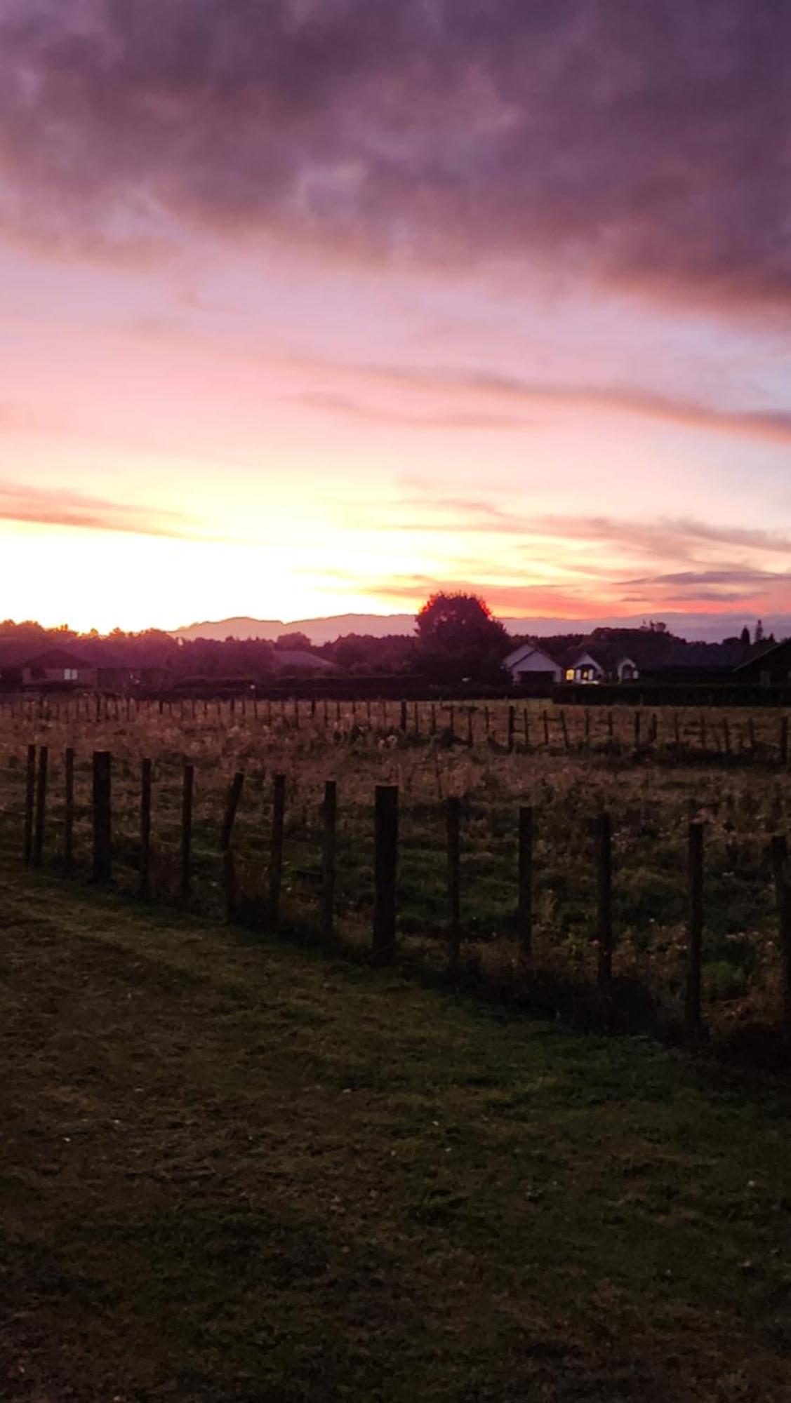 Aberdeen Cottage With Hobbit House Sleep-Out Tamahere 외부 사진